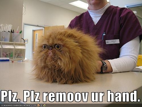 [Image: funny-pictures-cat-hates-the-vet2.jpg]