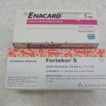 enacard and fortekor for kidney failure