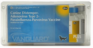 vaccine against parvo virus