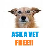 veterinary advice online